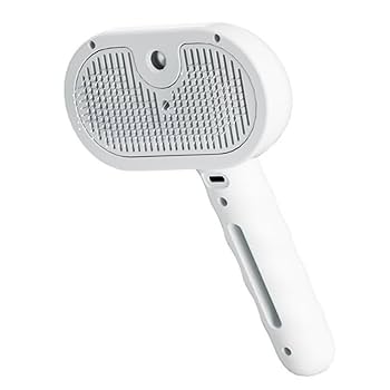 Cepillo Pulverizador de Vapor