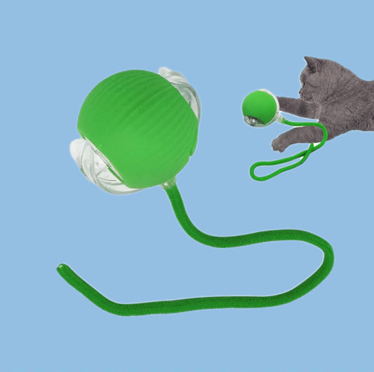 Juguete Pelota Interactiva