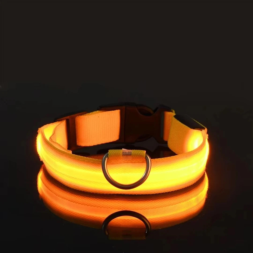 Collar LED Brillante