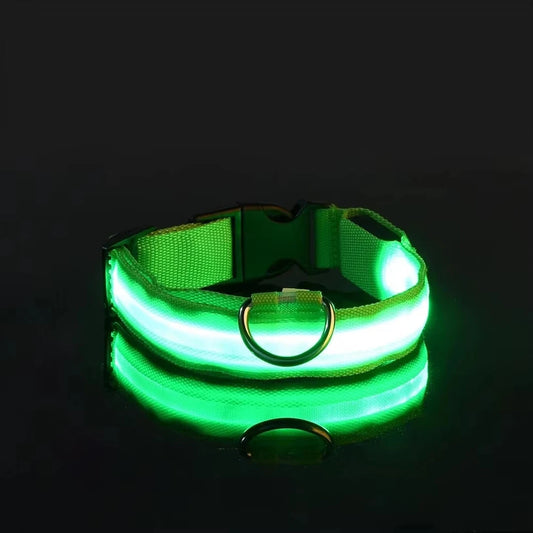 Collar LED Brillante