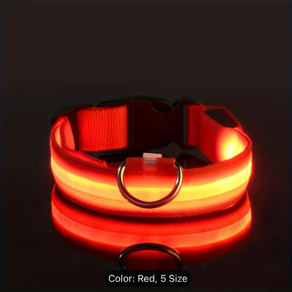 Collar LED Brillante