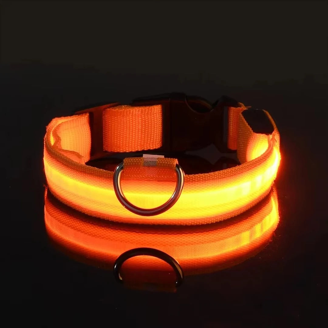 Collar LED Brillante