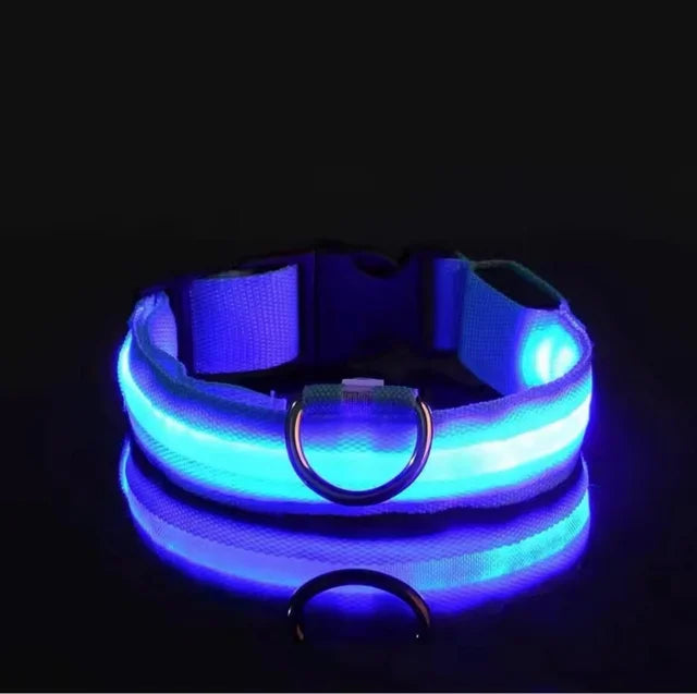 Collar LED Brillante