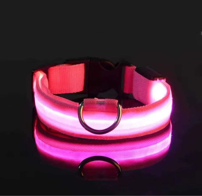 Collar LED Brillante