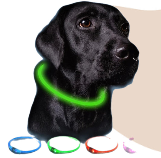 Collar Luminoso Recargable