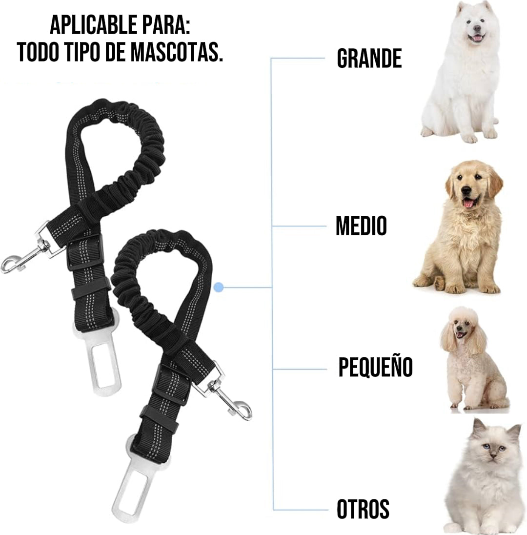 Cinturón de Seguridad