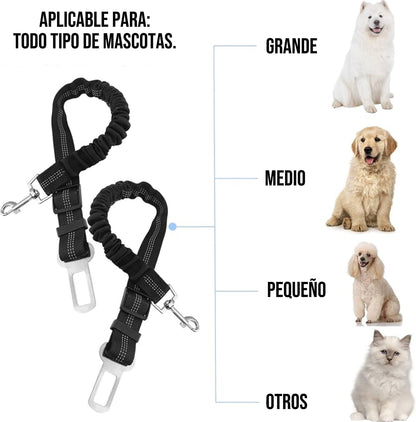 Cinturón de Seguridad