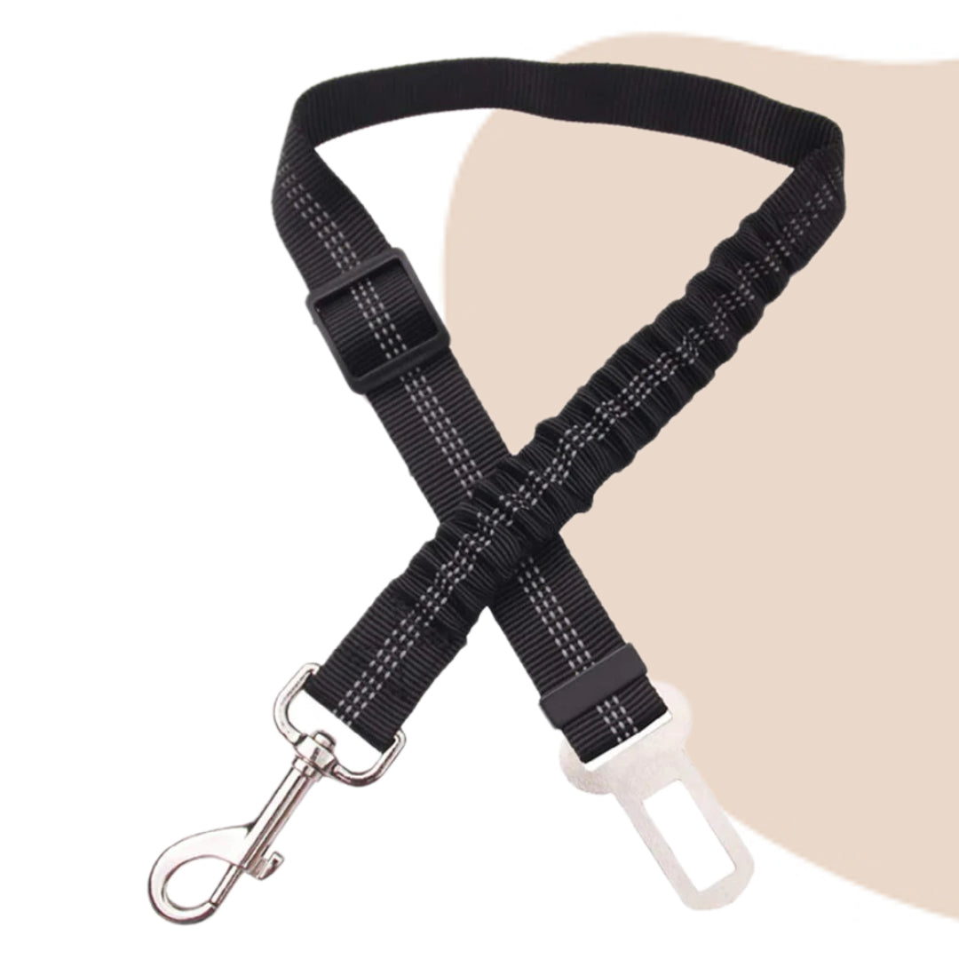 Cinturón de Seguridad