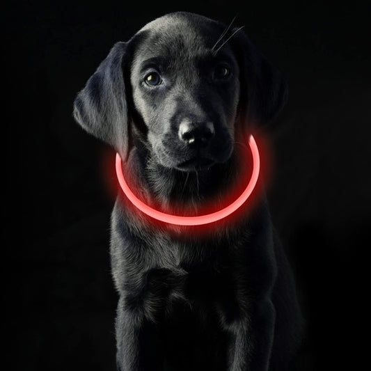 Collar Luminoso Recargable