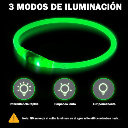 Collar Luminoso Recargable