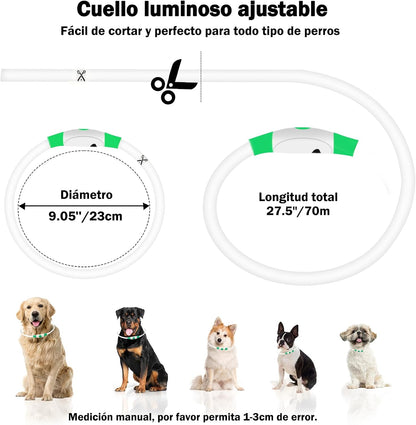 Collar Luminoso Recargable