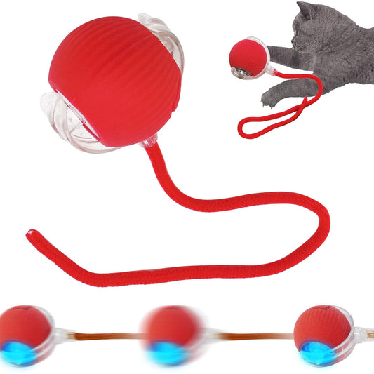 Juguete Pelota Interactiva