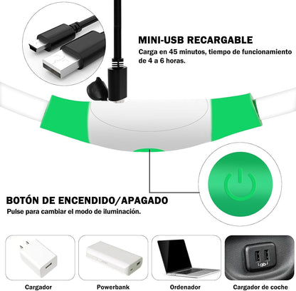 Collar Luminoso Recargable