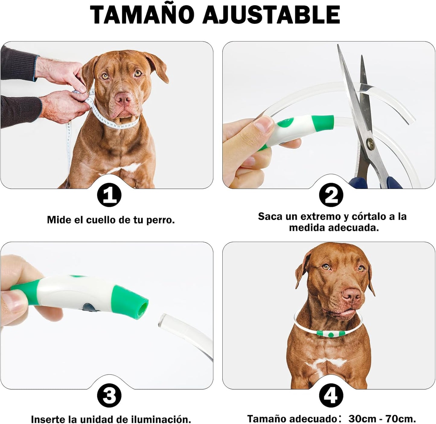 Collar Luminoso Recargable