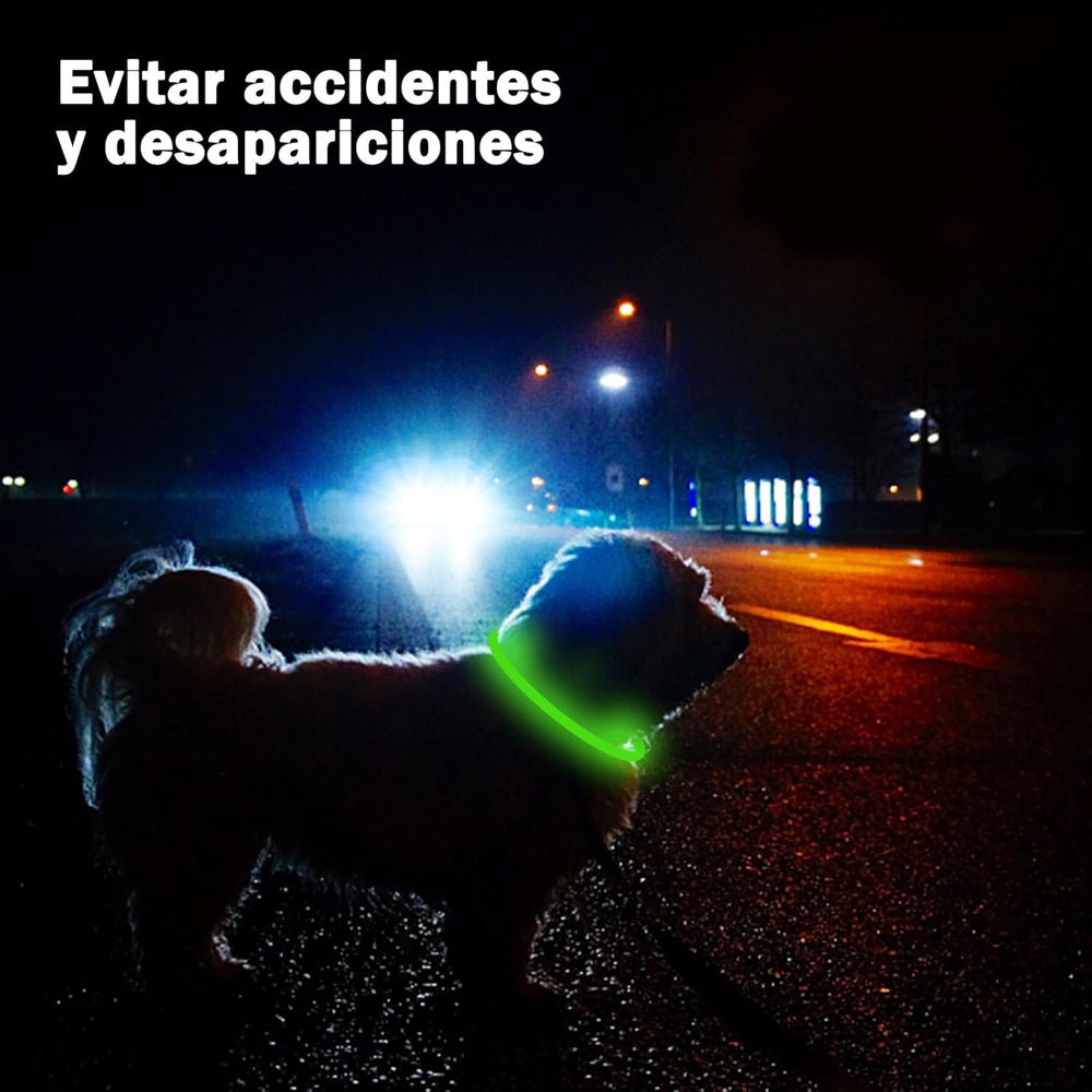 MANTÉN A TU MASCOTA SIEMPRE VISIBLE