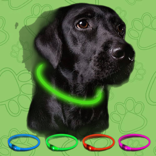 Collar Luminoso Recargable
