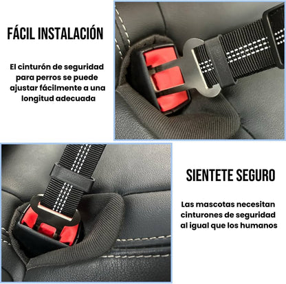 Cinturón de Seguridad