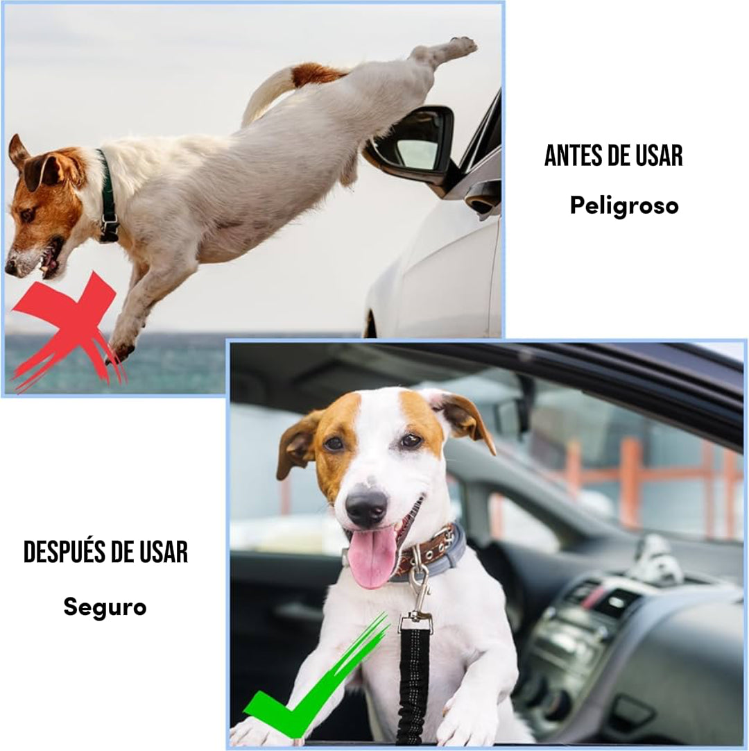 Cinturón de Seguridad