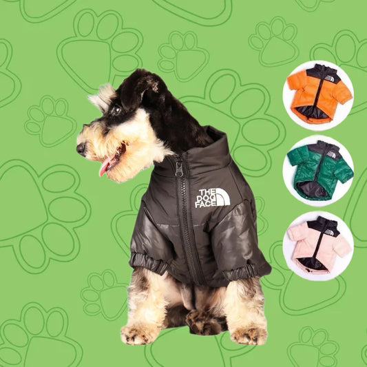 Chaqueta de Invierno