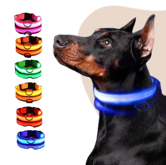 Collar LED Brillante