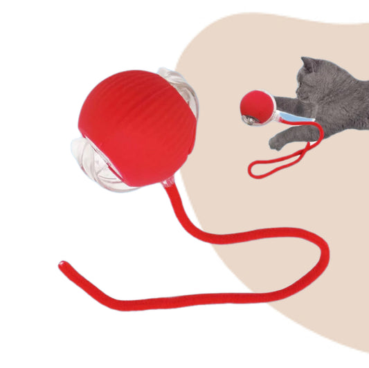 Juguete Pelota Interactiva