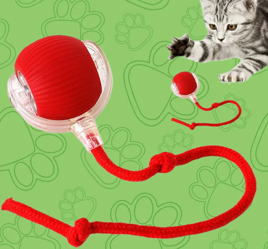 Juguete Pelota Interactiva