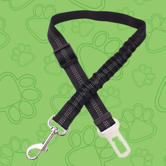 Cinturón de Seguridad