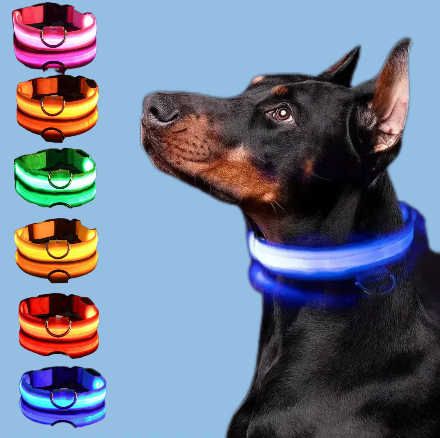 Collar LED Brillante