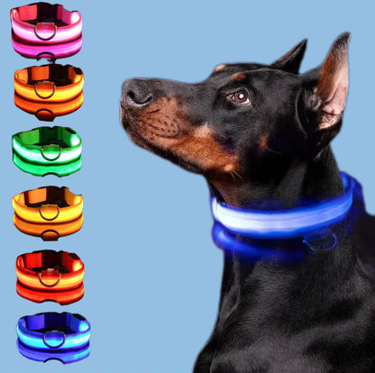 Collar LED Brillante