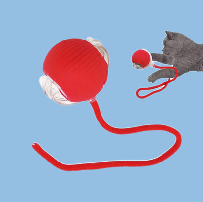 Juguete Pelota Interactiva