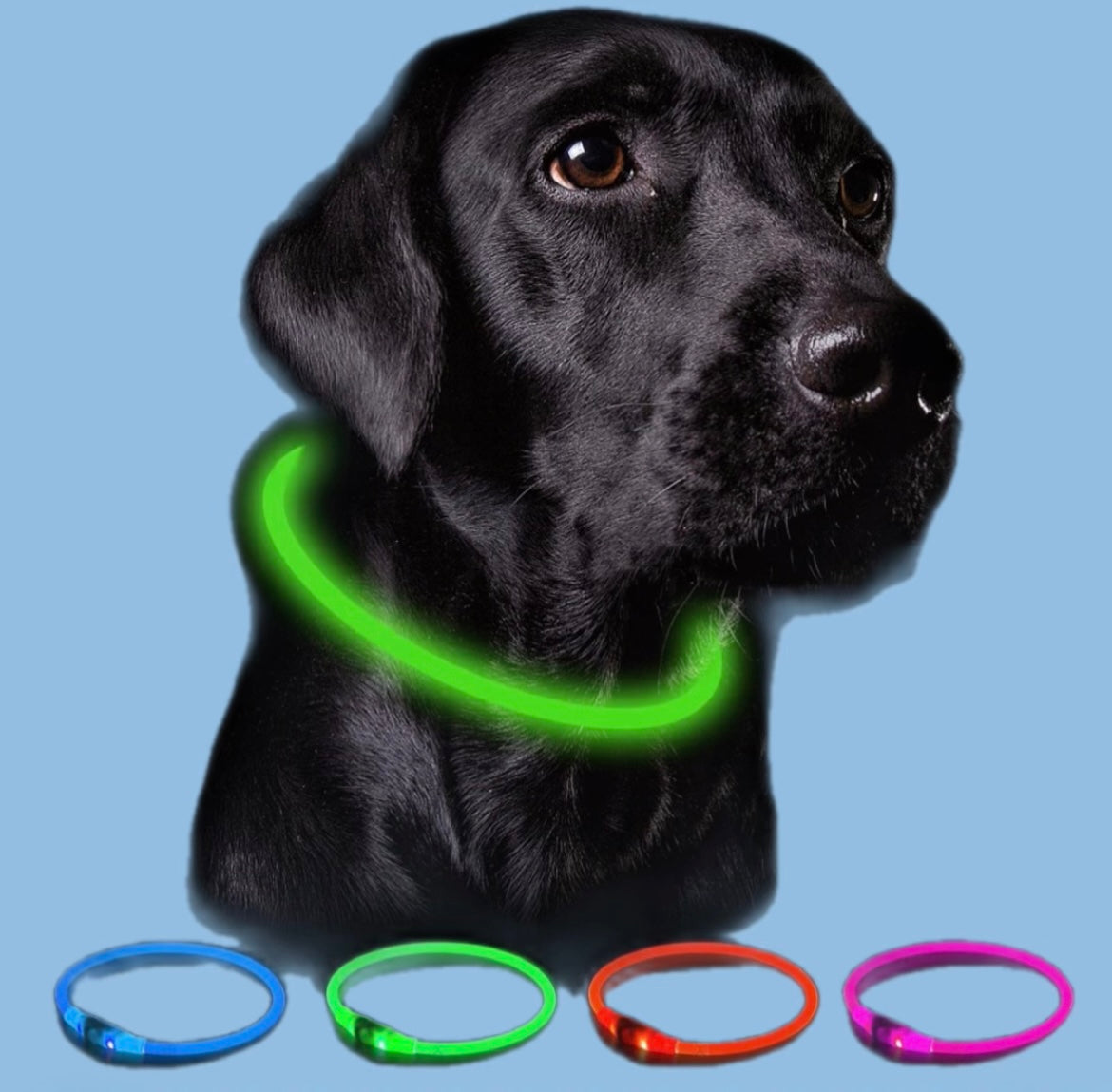 Collar Luminoso Recargable