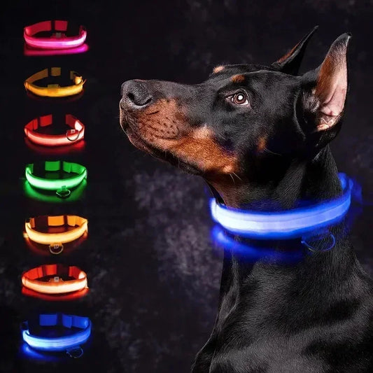 Collar LED Brillante